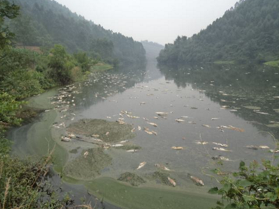 深圳水質(zhì)檢測(cè)