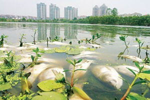 深圳水質檢測機構